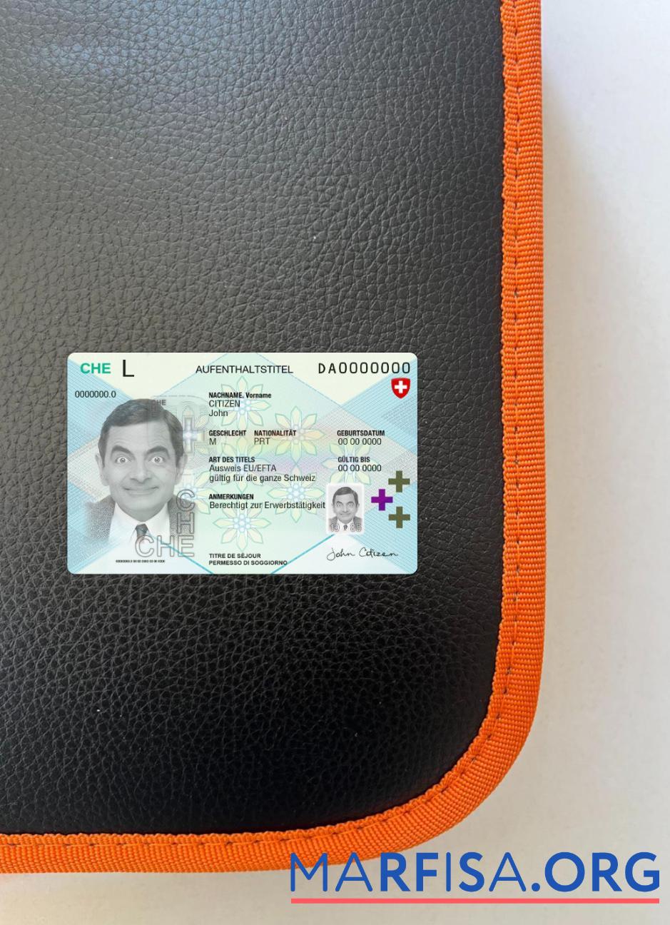 Realistic Switzerand residence permit 2020 present photolook front sample